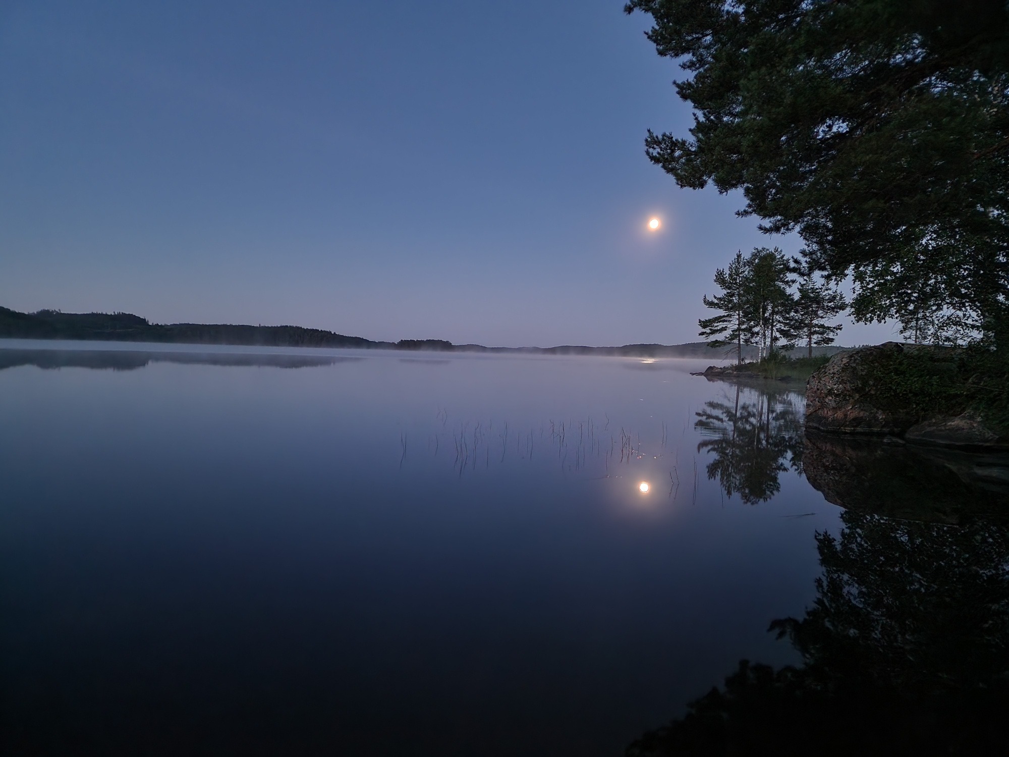/user/pages/05.photos/02._swedish-nature/01.jpg