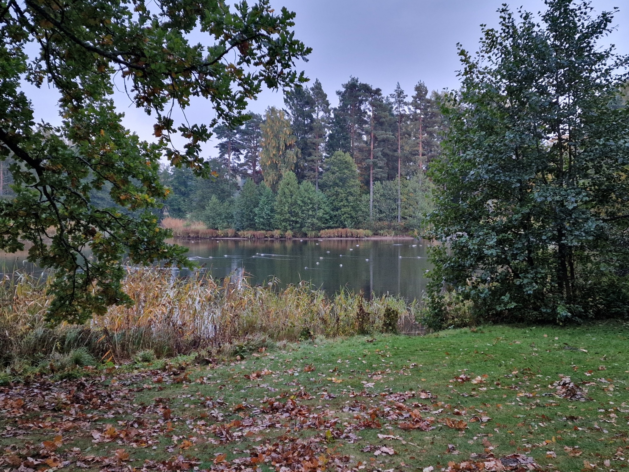 /user/pages/05.photos/05._krokstad-herrgard/3.jpg